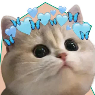 Sticker from ♡Примарні котики♡