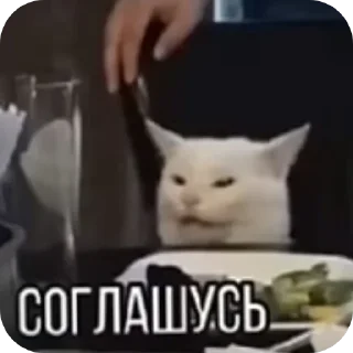 🙃 emoji По всем аниме Telegram sticker 10 of 47