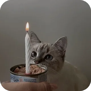 🔥 emoji айла не в восторге Telegram sticker 10 of 57