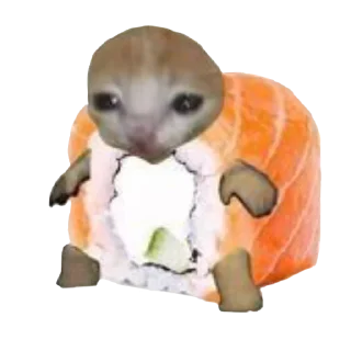 🍣 emoji Котики♡ Telegram sticker 5 of 100