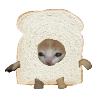 🍞 emoji Котики♡ Telegram sticker 13 of 100