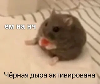 🍽 emoji Хомычи Telegram sticker 6 of 19