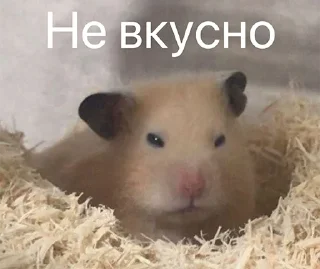 🤢 emoji Хомычи Telegram sticker 7 of 19