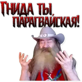 🇵🇾 emoji Andrey Kuptsov Telegram sticker 6 of 42
