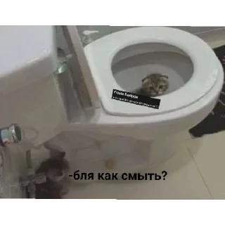 😄 emoji как же он ебашит ©бобер Telegram sticker 2 of 20