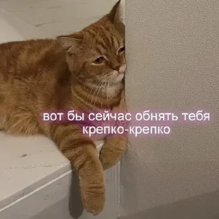 🌟 emoji Милашк Telegram sticker 12 of 23