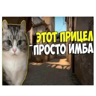 🤩 emoji Мемные пикчи @TgEmodziBot Telegram sticker 1 of 10