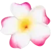🌟 emoji любимые стики лилечки @lilnavavv :: @QstickBot Telegram sticker 10 of 199