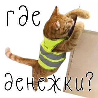 🤑 emoji коты ишачат на заводе Telegram sticker 10 of 34