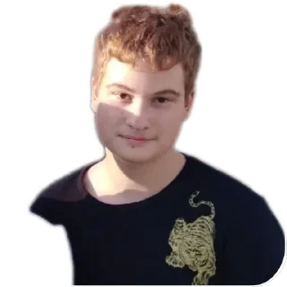 😀 emoji Володя 2.0 Telegram sticker 12 of 111