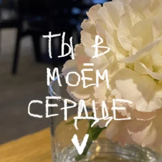 ✨ emoji @oksi_forest в горчичном лесу Telegram sticker 5 of 58