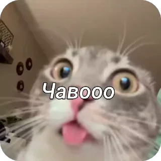 😯 emoji Чат Telegram sticker 6 of 11