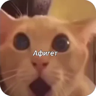 🌟 emoji Чат Telegram sticker 10 of 11