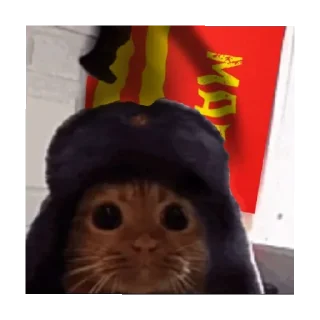 🐱 emoji Единый МАРС Telegram sticker 10 of 15