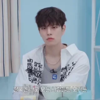 🕊️ emoji @kimbrbry Telegram sticker 21 of 38