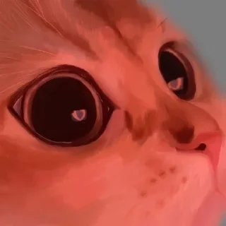 Sticker from мемокотики!!