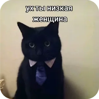 🐱 emoji intelligentnые стикеры Telegram sticker 6 of 61