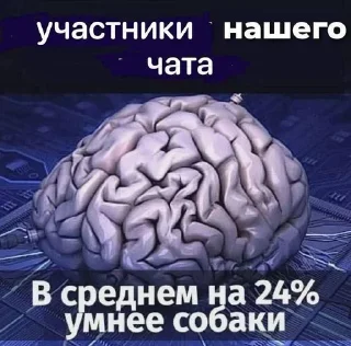 🌟 emoji Пісєчки-Попочки Telegram sticker 23 of 64