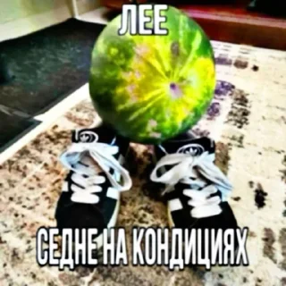 🌟 emoji Пісєчки-Попочки Telegram sticker 17 of 64