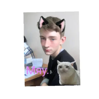 😺 emoji Тэ-32 Telegram sticker 15 of 15