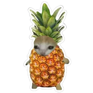 🫥 emoji catss Telegram sticker 16 of 91