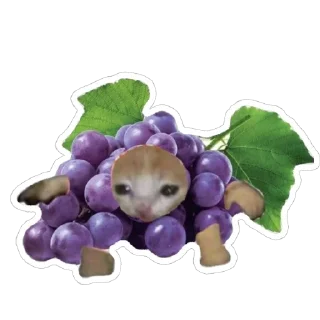 🍇 emoji catss Telegram sticker 8 of 91