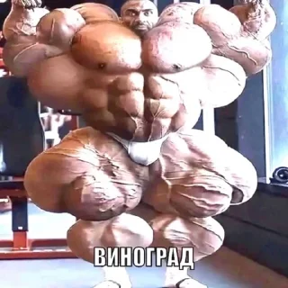 💪 emoji саня карась Telegram sticker 11 of 15