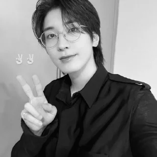 🐈‍⬛ emoji bw wonwoo @stckheavn Telegram sticker 4 of 15