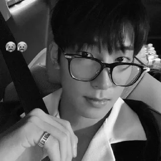 🐈‍⬛ emoji bw wonwoo @stckheavn Telegram sticker 1 of 15