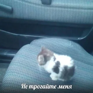 Sticker from ебанина