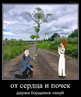 🌟 emoji мне одну пачку нурофена пж Telegram sticker 5 of 42