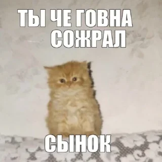 💩 emoji Головные беды дер ваге Telegram sticker 13 of 45