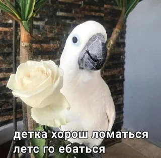 🌟 emoji стикеры меченого Telegram sticker 13 of 120