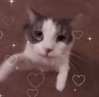 ❤️ emoji Мои стикеры Telegram sticker 16 of 97