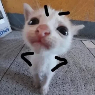 😡 emoji Pussicat Telegram sticker 3 of 120