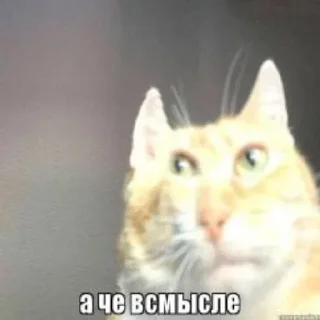 😁 emoji Мега супер суп Telegram sticker 23 of 119