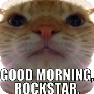 🫥 emoji Cringe and cats Telegram sticker 24 of 98