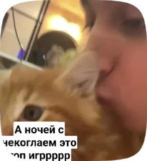 🥇 emoji Ночь с некоглаем 2 Telegram sticker 21 of 35