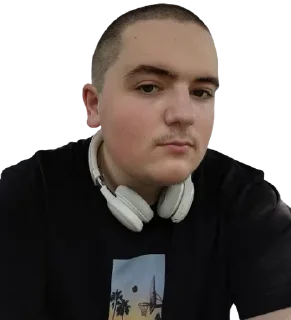 Sticker from Дима faggot