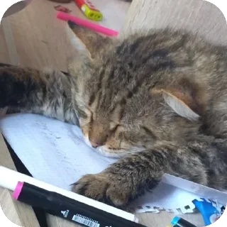 😴 emoji бывает Telegram sticker 2 of 35