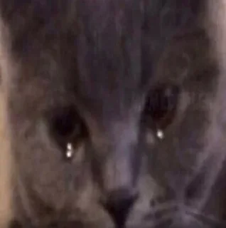 😢 emoji Няш Telegram sticker 6 of 12