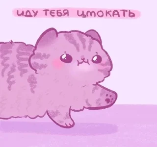 😽 emoji котики @diiinnnneeen Telegram sticker 10 of 66