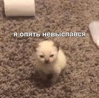 🌟 emoji На все случаи жизни 2.0 Telegram sticker 17 of 50