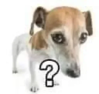 ❓ emoji проблема хайпа @arxeq Telegram sticker 20 of 120
