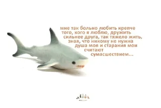 Sticker from фарфорыши