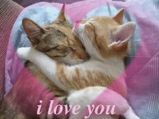 🩷 emoji LOVELOVELOVE Telegram sticker 16 of 41