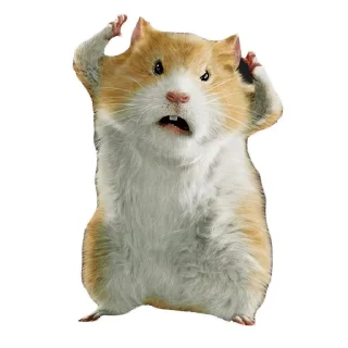 😱 emoji Хомяки @stickernayaa Telegram sticker 7 of 25