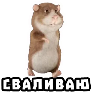🚶‍♂️ emoji Хомяки @stickernayaa Telegram sticker 9 of 25