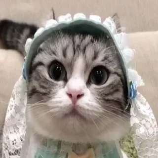 😊 emoji купить бы джып Telegram sticker 11 of 30