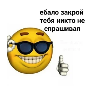 😎 emoji Наркамань белки #2 Telegram sticker 17 of 120